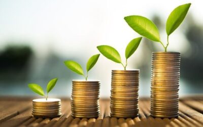 كيف تحسّن إدارة السيولة النقدية لشركتك